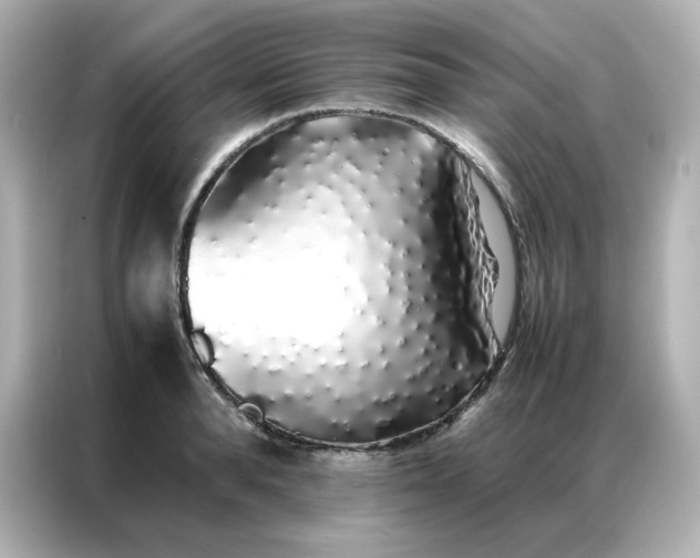 X0000086920896200704301055