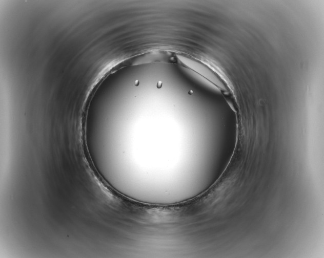 X0000086920898200704301055