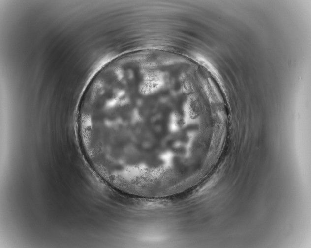 X0000086920899200704301055