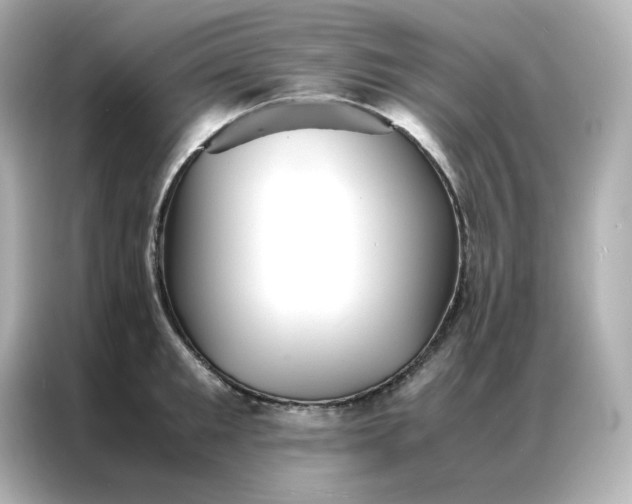 X0000086920901200704301055