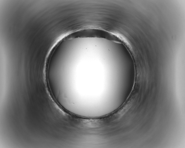 X0000086920902200704301055