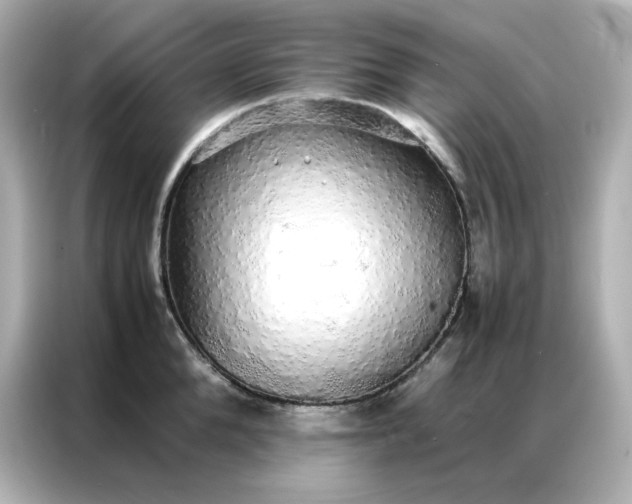 X0000086920904200704301055