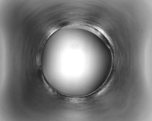 X0000086920905200704301055