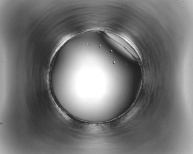 X0000086920906200704301055