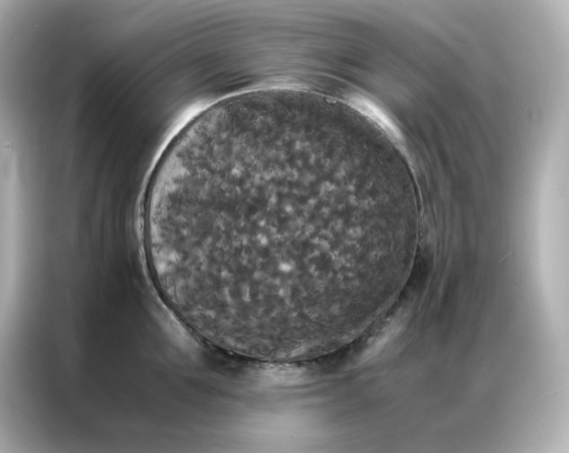 X0000086920907200704301055