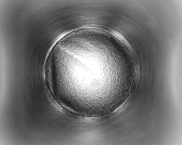 X0000086920908200704301054