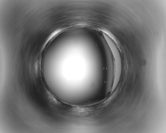 X0000086920910200704301054