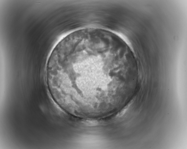 X0000086920911200704301054