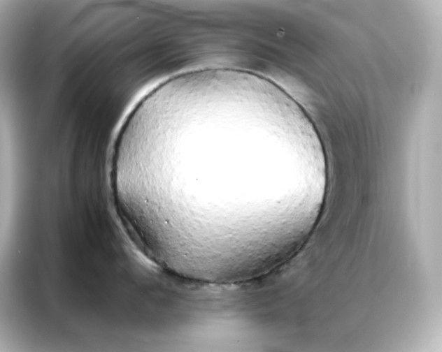 X0000086920912200704301054