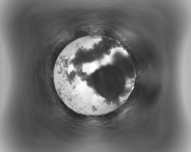 X0000086920913200704301054