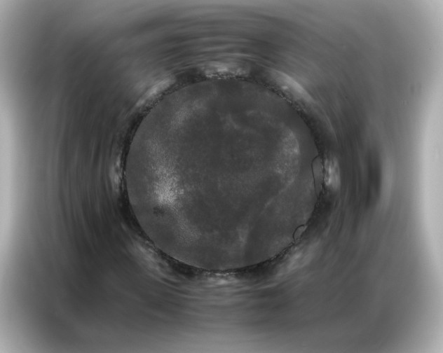 X0000086920915200704301054