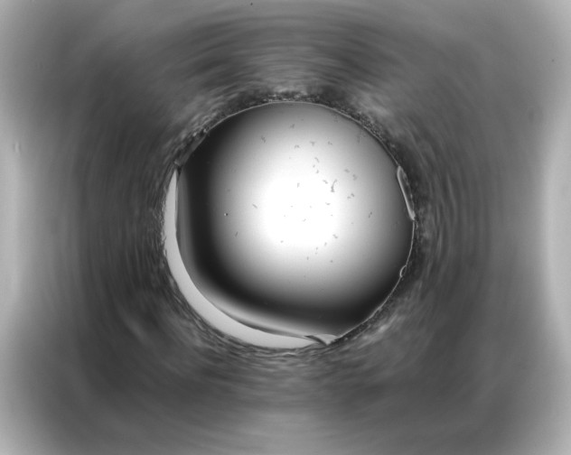 X0000086920916200704301054