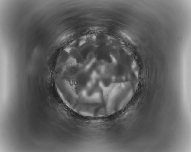 X0000086920917200704301054