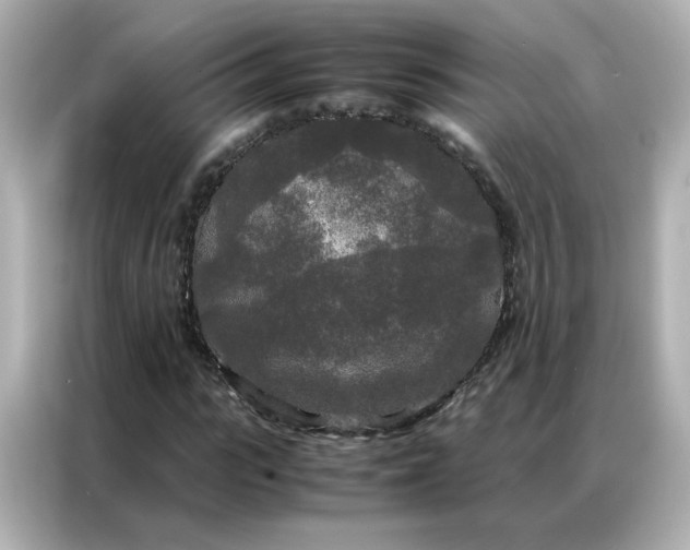 X0000086920919200704301054