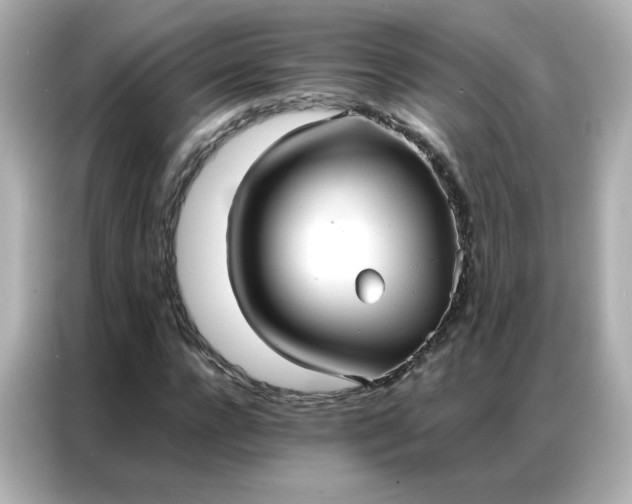 X0000086920920200704301054