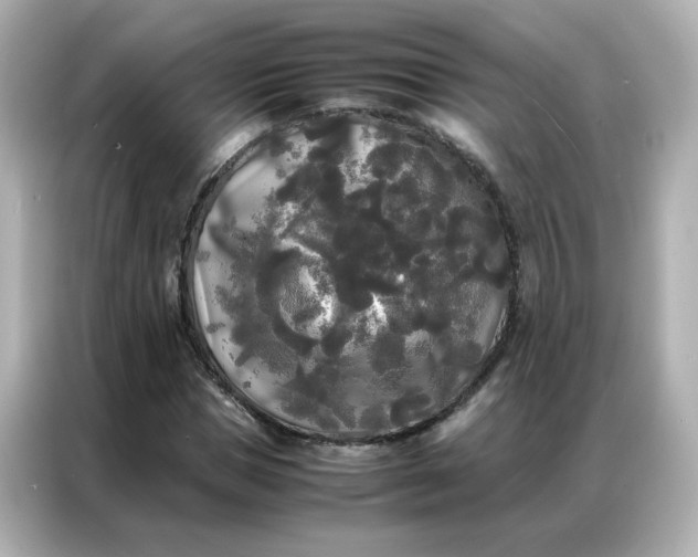 X0000086920921200704301054