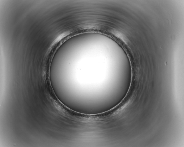 X0000086920922200704301054