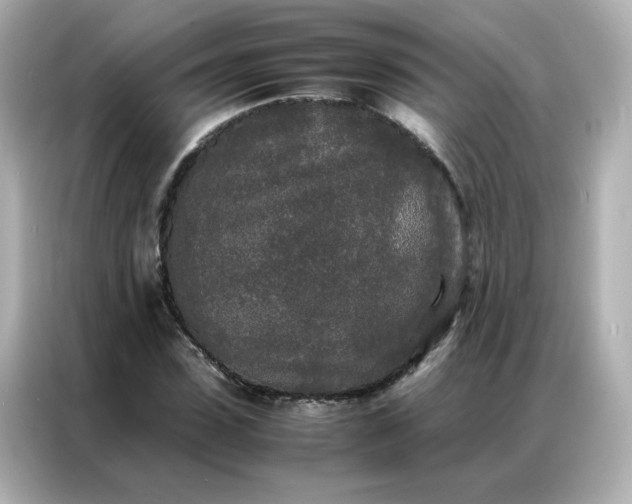 X0000086920923200704301054