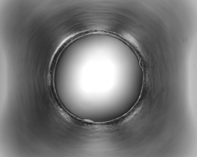 X0000086920924200704301054
