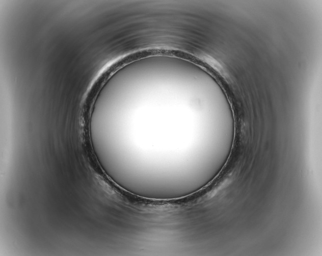 X0000086920926200704301054
