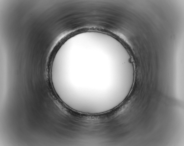 X0000086920927200704301054