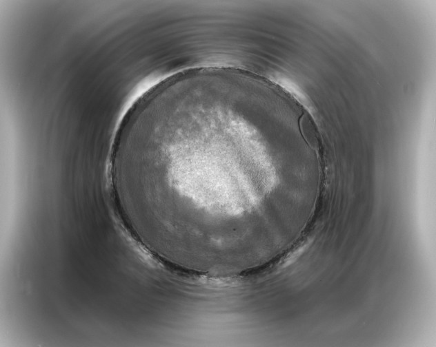 X0000086920928200704301054