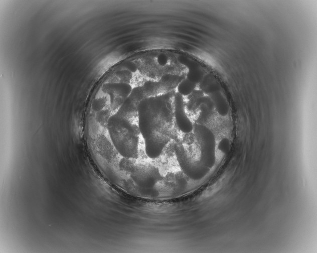 X0000086920929200704301054