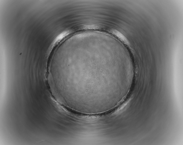 X0000086920930200704301054