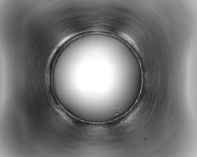 X0000086920931200704301054