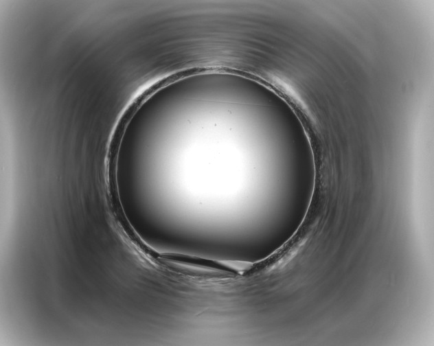 X0000086920932200704301054