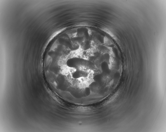 X0000086920933200704301054