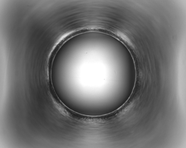 X0000086920934200704301054