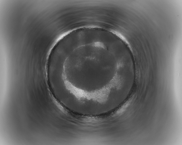 X0000086920935200704301054