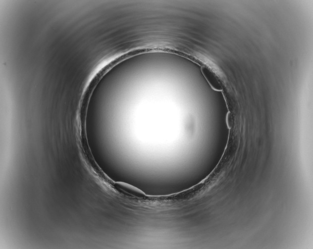 X0000086920936200704301054