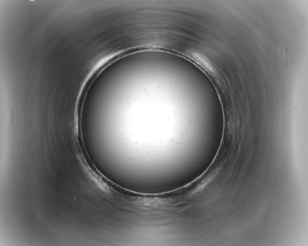 X0000086920940200704301054