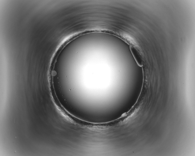 X0000086920942200704301054