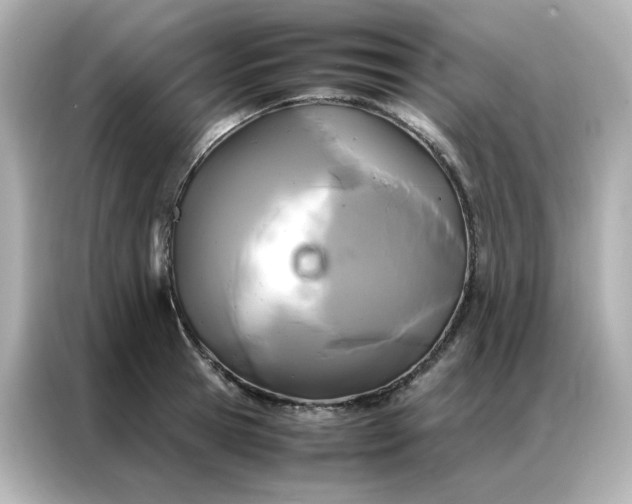 X0000086920945200704301054