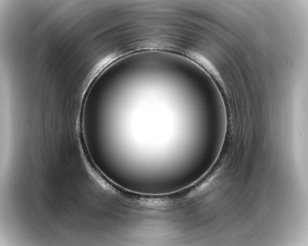 X0000086920946200704301054