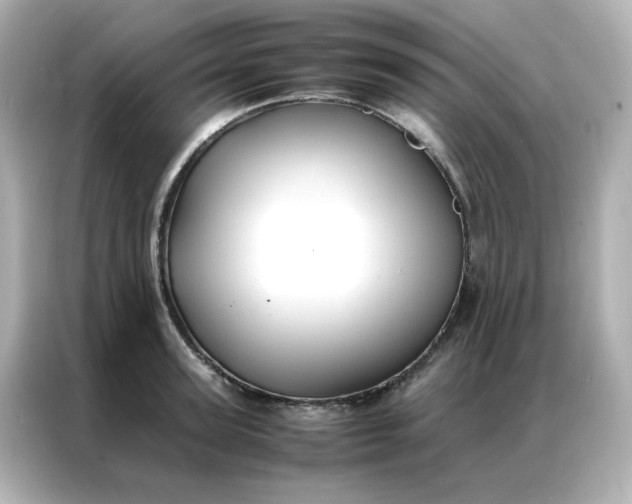 X0000086920947200704301054
