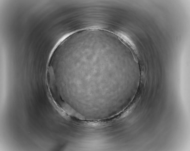 X0000086920948200704301054