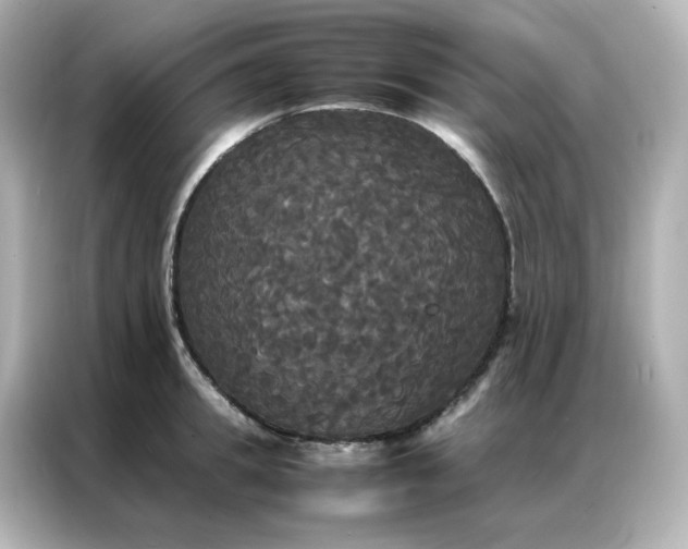 X0000086920949200704301054