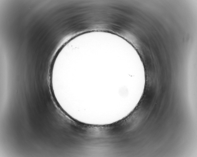 X0000086920950200704301054