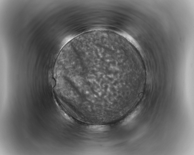 X0000086920953200704301054