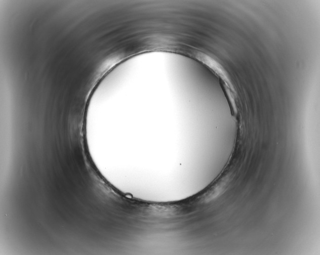 X0000086920954200704301054