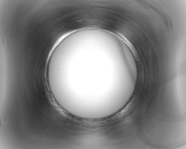X0000086920956200704301054