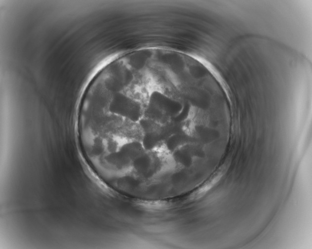 X0000086920957200704301054