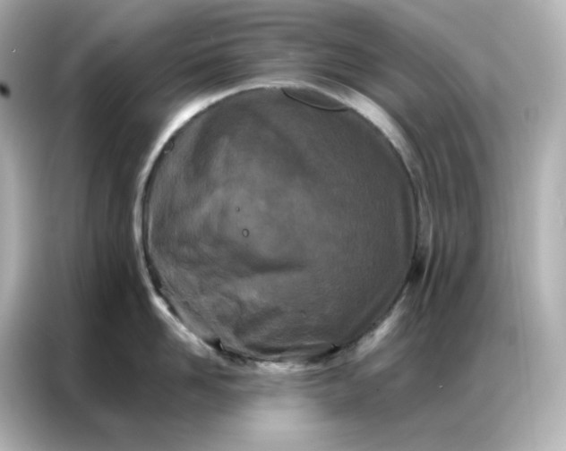 X0000086920958200704301054
