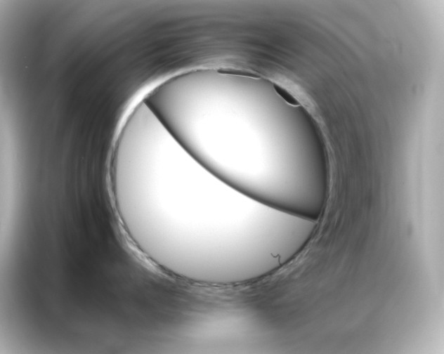 X0000086920960200704301054