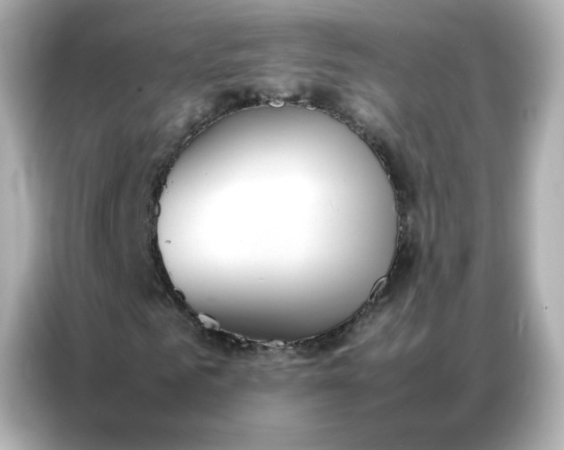 X0000086920961200704301054