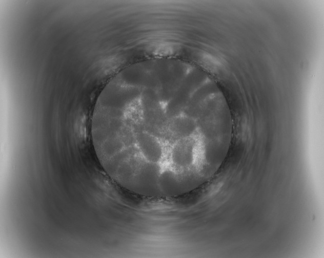 X0000086920962200704301054